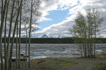 website133036.jpg