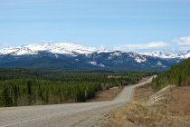 website133039.jpg