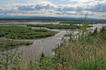 website134005.jpg
