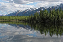 website134051.jpg