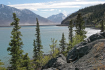 website134052.jpg