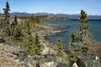website134053.jpg