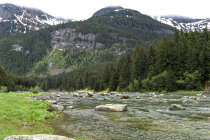 website137047.jpg