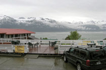 website137051.jpg