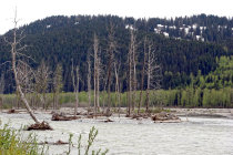 website137052.jpg