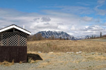 website137057.jpg