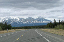website137058.jpg