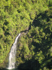 website184002.jpg