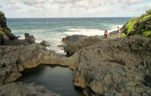 website184004.jpg