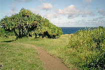 website184051.jpg