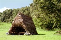 website184052.jpg