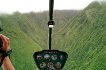 website185040.jpg