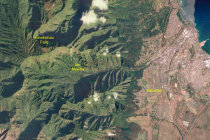 website185048.jpg