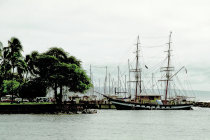 website187053.jpg