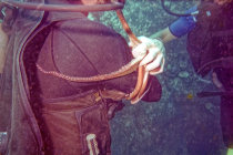 website188047.jpg