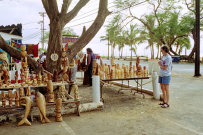 website189014.jpg