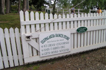 website189044.jpg