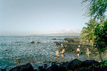 website189046.jpg
