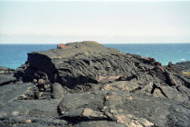 website193004.jpg