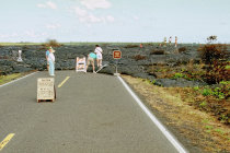 website193049.jpg