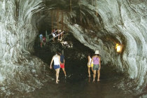 website194003.jpg
