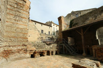 website213048.jpg