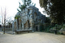 website215049.jpg