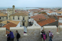 website217050.jpg