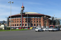 website219051.jpg