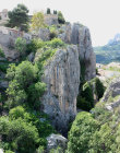 website224049.jpg