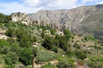 website224057.jpg