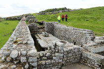 website227034.jpg