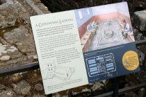 website227035.jpg