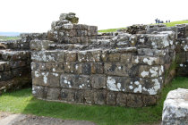 website227036.jpg