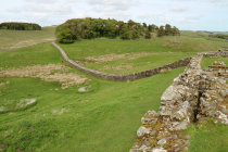 website227037.jpg