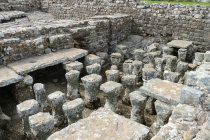 website227039.jpg