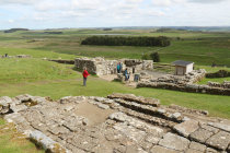 website227040.jpg