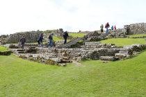 website227041.jpg