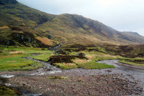 website228038.jpg