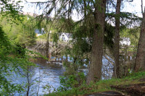 website229051.jpg