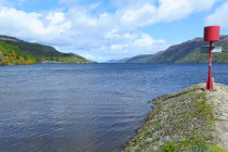 website229054.jpg