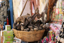 website235004.jpg