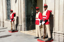 website235051.jpg