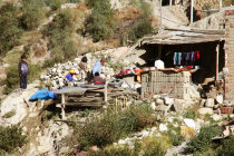 website235056.jpg