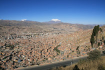 website238002.jpg