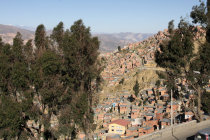 website238004.jpg
