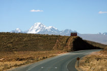 website238047.jpg
