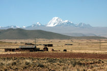 website238049.jpg