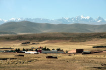 website238050.jpg