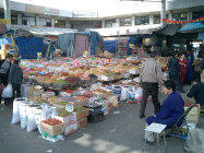 website246043.jpg